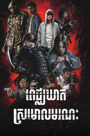 The Shadow Strays (2024)
